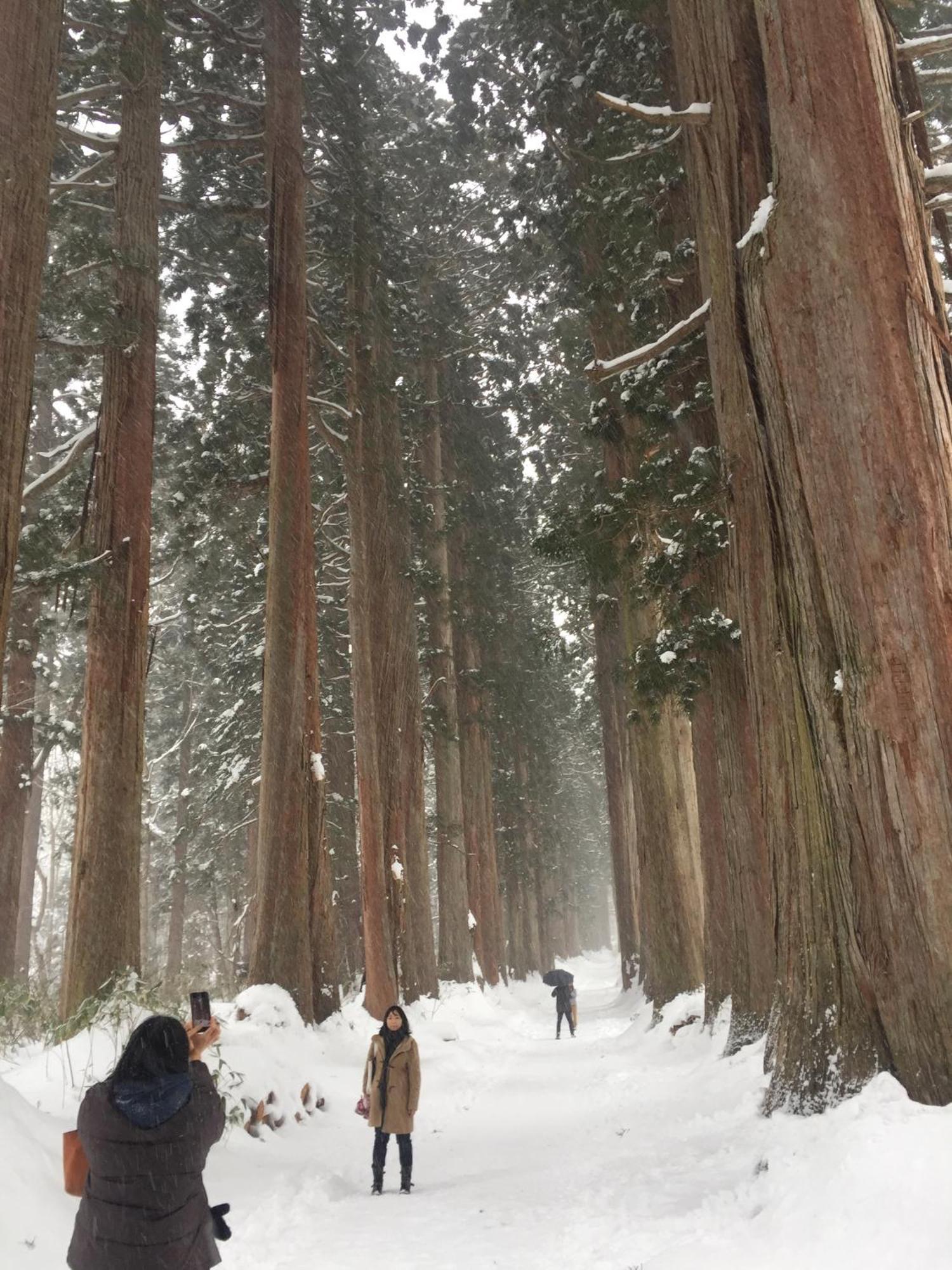 Nojiri Lake Resort 시나노 외부 사진
